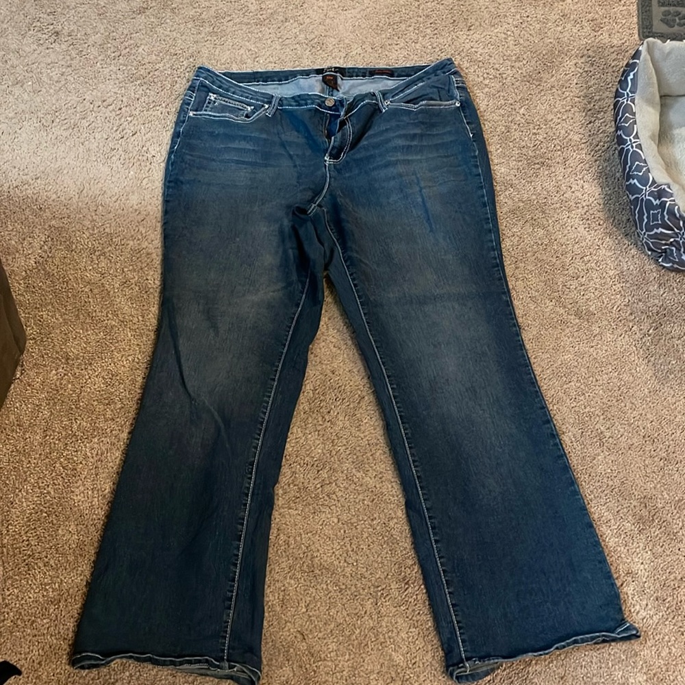 Womans EARL Size 22W Blue Jeans